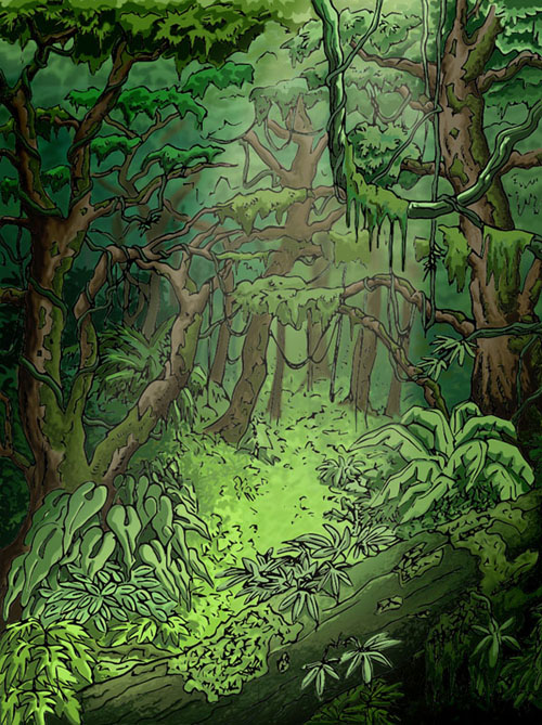 illustration jungle